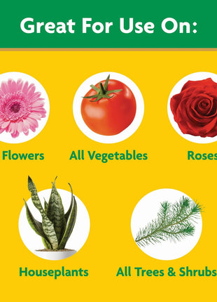 Miracle-Gro Water Soluble All Purpose Plant Food - Fertilizer For All Indoor or Outdoor Plants including Roses, Flowers, Vegetables, Houseplants, Trees, and Shrubs, 3 lbs.