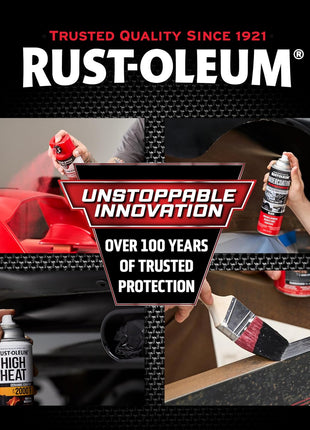 Rust-Oleum 248656 Professional Grade Rubberized Undercoating Spray, 15 oz, Black