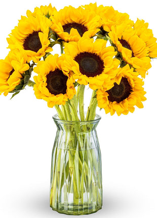 Benchmark Bouquets - Sunflower Bouquet - Fresh Flowers for Delivery - Real Flowers in a Vase - Floral Arrangements Gift Set - Birthday Flowers for Women - Glass Vase Included (10 Stems)
