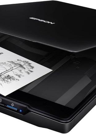 Epson Perfection V19 II Flatbed Photo Scanner 4800 dpi Optical Resolution | USB Power High-Rise Removable Lid for Documents and Old Pictures to Digital Conversion