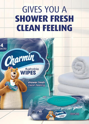 Charmin Flushable Wipes, 160 Total Wipes (4 Packs of 40)