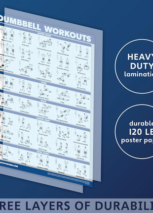 Palace Learning Dumbbell Workout Exercise Poster   Free Weight Body Building Guide | Home Gym Chart   LAMINATED, 18 inch x 24 inch