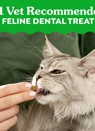 Greenies Cat Treats, Feline Veterinarian-Recommended Adult Natural Dental Treats, Catnip Flavor, 9.75 oz. Tub