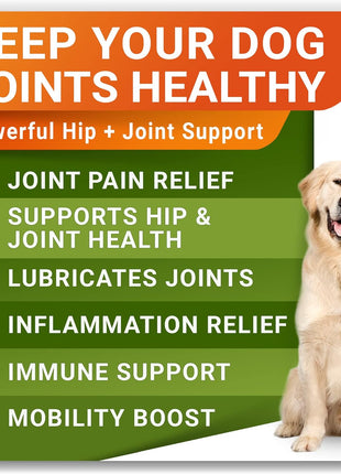 Allergy Relief + Large Breed Hemp + Glucosamine for Dogs Bundle - Itchy Skin + Hip & Joint Pain Relief - Omega 3 & Pumpkin + Chondroitin, MSM - Allergy Supplement, Hotspot Relief - 480ct - Made in USA