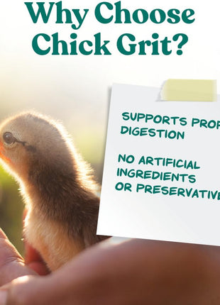 Manna Pro Chick Grit Digestive Supplement for Young Growing Poultry & Bantam Breeds, No Artificial Ingredients or Preservatives, Natural Supplement with Insoluble Crushed Granite, 5 lbs