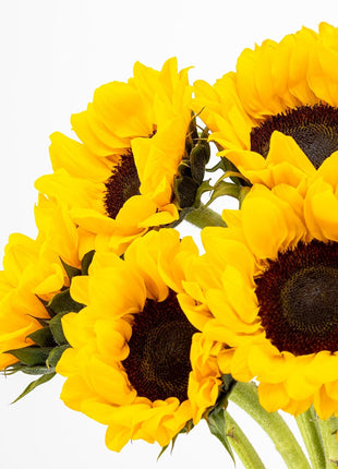 Benchmark Bouquets - Sunflower Bouquet - Fresh Flowers for Delivery - Real Flowers in a Vase - Floral Arrangements Gift Set - Birthday Flowers for Women - Glass Vase Included (10 Stems)