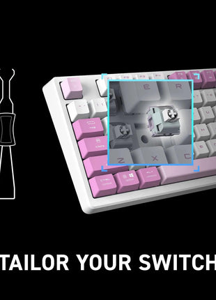 msi Forge GK600 TKL W Violet US - Mechanical Linear SWITCHES - Dye-Sublimated PBT Keycaps, Anti-Slip Base, RGB LED, USB 2.0, Bluetooth, 2.4 GHz - Tenkeyless