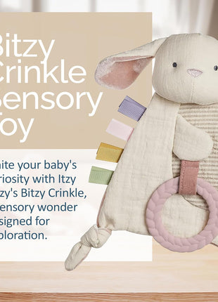 Itzy Ritzy Bitzy Crinkle Sensory Toy with Teething Toy, 0+ Months (Bunny)