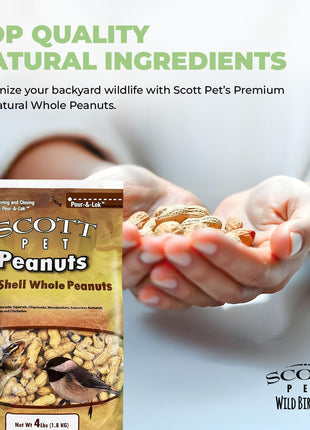 Scott Pet Wild Bird Seed, Whole Peanuts, 4 lbs Bag, Feed, Great Source of Protein and Fiber, Peanuts for Outside Wild Birds