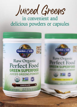 Garden of Life Raw Organic Perfect Food Chocolate Powder, 60 Servings | Juiced Cereal Grasses, Plant Based Green Supplements for Immune Support and Digestive Support, Green Superfood