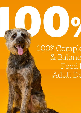 Pedigree Wet Dog Food, Choice Cuts Adult Canned Dog Food, Beef & Country Stew Multipack, 13.2 oz. Cans (12 Count, Pack of 1)