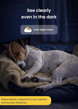 Furbo 360° Dog Camera + Mini [New Subscription Required at Setup] 2-Camera Bundle Nanny Subscription: Dog Safety & Home Security Alerts, Pet Camera with Speaker, Phone App & Night Vision