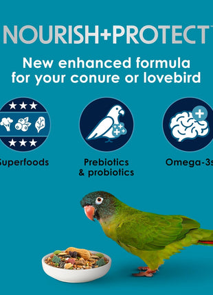 Kaytee Forti-Diet Pro Health Nourish+Protect Conure & Lovebird Food, Comprehensive Nutrition Backed by Science, Digestive Health, Immune Support, 4 pounds