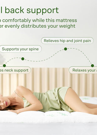 Ultra Soft Queen Size Mattress Topper   Viscose Made from Bamboo Pillow Top Mattress Pad for Back Pain Relief   Naturally Cooling for Hot Sleepers, Green
