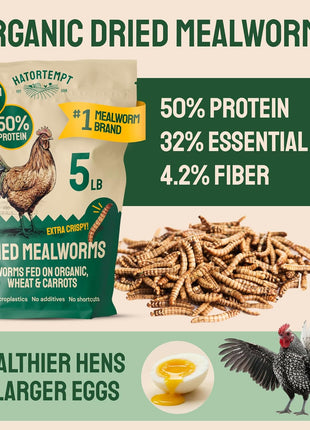 Hatortempt Dried Mealworms - Non-GMO & Organic - High-Protein Mealworms for Wild Bird Food, Ducks & Chickens (5lb)