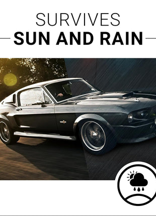 CAR GUYS Plastic Restorer | Bring Plastic, Rubber, and Vinyl Back to Life! | User Friendly Trim Restorer | Safe Auto Detailing Supplies | 8 Oz Kit with Foam Applicator