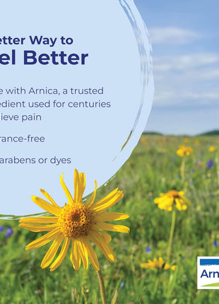 Boiron Arnicare Gel for Relief of Joint Pain, Muscle Pain, Muscle Soreness, and Swelling from Bruises or Injury - Non-greasy and Fragrance-Free - 2.6 oz