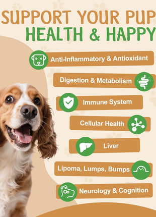9 in 1 Mushroom Supplement for Dogs - Digestive, Cellular, Immune Health Support, Mushroom Immune Dog Chews Turkey Tail Mushroom for Dogs - Gut, Skin, Joint, Immune Health- Dog Lumps & Bumps