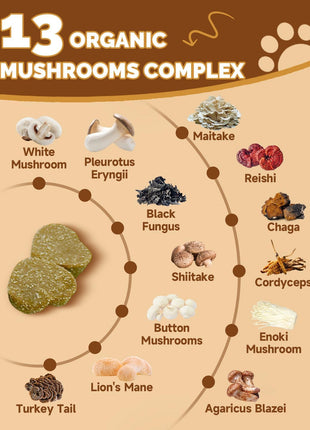 9 in 1 Mushroom Supplement for Dogs - Digestive, Cellular, Immune Health Support, Mushroom Immune Dog Chews Turkey Tail Mushroom for Dogs - Gut, Skin, Joint, Immune Health- Dog Lumps & Bumps