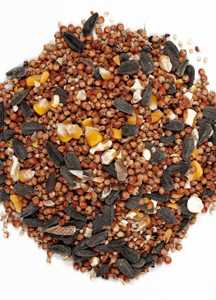 Wagner's 53002 Farmer's Delight Wild Bird Food with Cherry Flavor, 10 Pound Bag