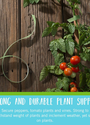 VELCRO Brand VEL-30071-USA ONE-WRAP Garden Ties | Plant Supports for Effective Growing | Strong Grips are Reusable and Adjustable | Cut-to-Length, 50 ft x 1/2 in, Green-Recycled Plastic