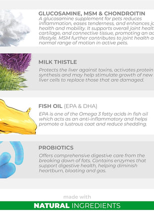 Milk Thistle + 10 in 1 Multivitamin for Dogs - Liver Support, Skin and Coat Health, Digestive Health, Hip and Joint Support and Heart Health.