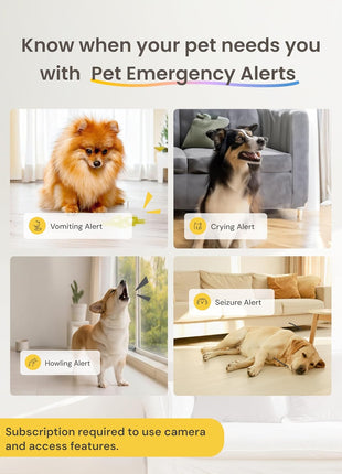 Furbo 360° Dog Camera + Mini [New Subscription Required at Setup] 2-Camera Bundle Nanny Subscription: Dog Safety & Home Security Alerts, Pet Camera with Speaker, Phone App & Night Vision