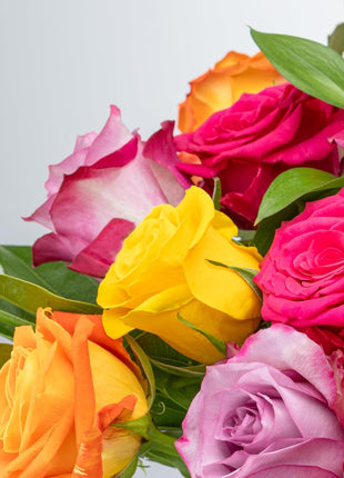 Benchmark Bouquets - Roses Bouquet Assorted Colors - Fresh Flowers for Delivery - Two Dozen Long Stem Roses - Live Flowers - Gift Roses in a Box - Birthday Flowers for Women (Glass Vase Included)