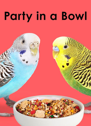 Kaytee Fiesta Parakeet Food, Nutritious and Fun Blend, Supports Skin, Feather, Digestion, Brain and Heart Health, 2 pounds
