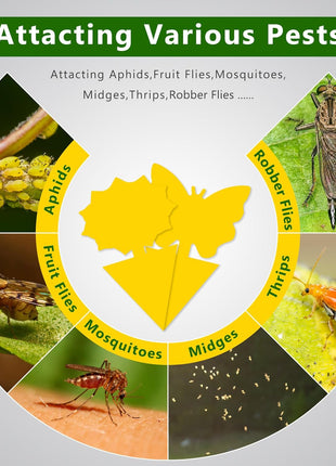 Fruit Fly Traps Indoor Fungus Gnat Trap 48PCS for Plants Yellow Houseplants Outdoor Use Insect Sticky