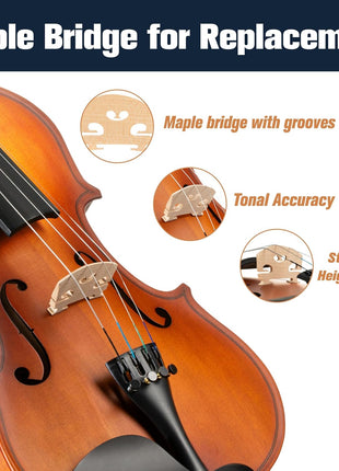 Mendini by Cecilio Violin 4/4 Full Size Kit For Beginners - Hand Carved Acoustic Violins Set - Fiddle Solid Wood Kit with Hard Case, Bow, Rosin, Shoulder Rest, Bridge and Extra Strings