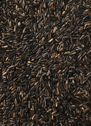 Happy Wings Nyjer/Thistle Seeds Wild Bird Food - 5 Pounds I No Grow Seed I Bird Seed for Wild Birds