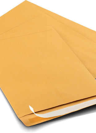 Aimoh 9 X 12 Self-Seal Brown Kraft Catalog Mailing Envelopes - 28lb - 100 Count, 9x12 Inch (38300)