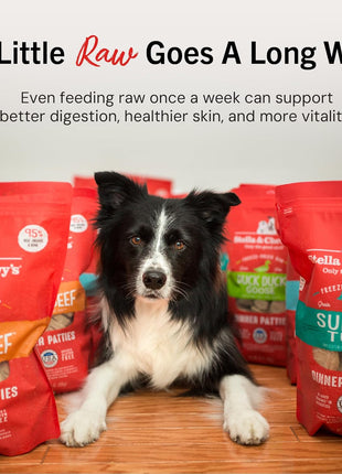 Stella & Chewy's Freeze-Dried Raw Dinner Patties - Beef Recipe - High Protein Grain-Free Puppy & Dog Food - Perfect For Picky Eaters - 25 oz
