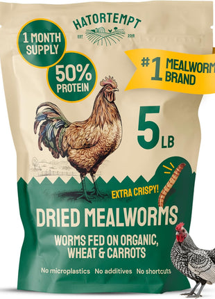 Hatortempt Dried Mealworms - Non-GMO & Organic - High-Protein Mealworms for Wild Bird Food, Ducks & Chickens (5lb)