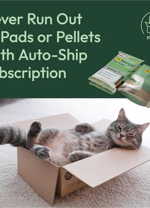 Purina Tidy Cats Cat Litter Breeze Pads Refill Pack Multi Cat Litter Pads - 8 ct. Bag