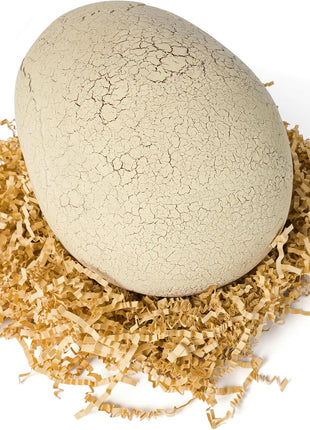 Primal Hatch Jurassic World Interactive T-Rex Toy Dinosaur Egg | Interactive Dino Figure, Realistic Hatching Experience, 100+ Sounds & Reactions, Train & Feed, Gifts for Kids Ages 5+