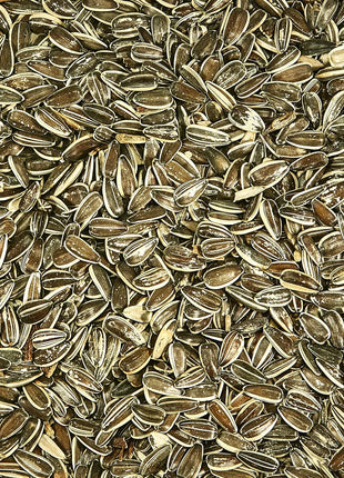 Kaytee Striped Sunflower, 5-Pound