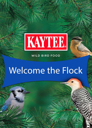 Kaytee Shelled Peanuts for Cardinals, Blue Jays, Woodpeckers and Other Outside Wild Birds, 11 Pounds