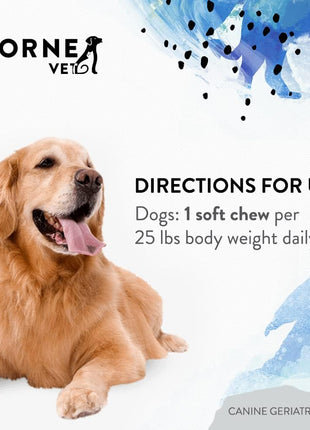 B ComplexVet and Canine Geriatric Basics Soft Chews Bundle