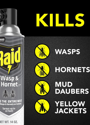 Raid Wasp & Hornet Killer Spray, Bug Killer Kills the Entire Nest, 14 Oz, 2 Count