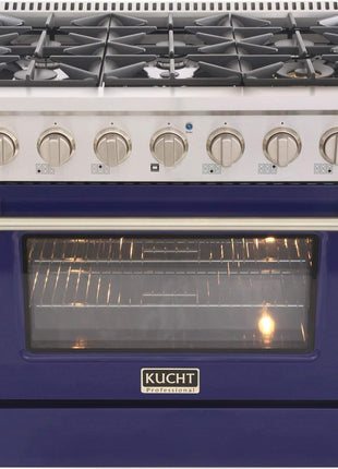 36 in. 5.2 cu. ft. Natural Gas Range with Sealed Burners and Convection Oven in Stainless Steel with Blue Oven Door