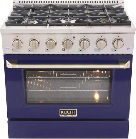 36 in. 5.2 cu. ft. Natural Gas Range with Sealed Burners and Convection Oven in Stainless Steel with Blue Oven Door