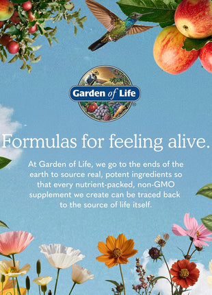Garden of Life Dr. Formulated Probiotics Prostate+ - Acidophilus and Probiotic Supports Healthy Prostate and Digestive Balance - Shelf Stable - Gluten, Dairy, and Soy-Free - 60 Vegetarian Capsules