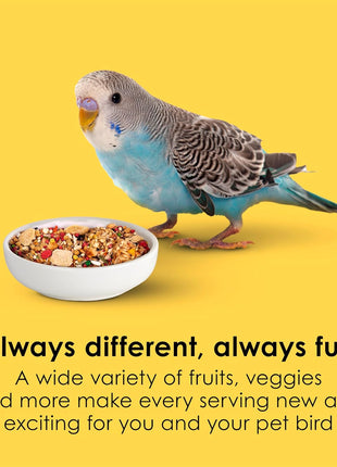 Kaytee Fiesta Parakeet Food, Nutritious and Fun Blend, Supports Skin, Feather, Digestion, Brain and Heart Health, 2 pounds