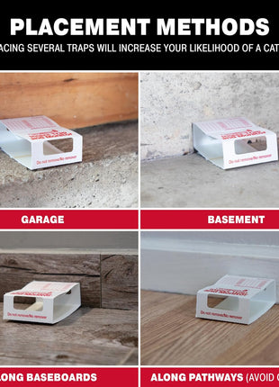 Catchmaster Spider & Insect Glue Traps 30-Pk (10 Sheets), Adhesive Cockroach Killer Glue Boards, Spider Traps, Cricket Sticky Trap, Indoor Roach Trap for Home, Garage & Shed, Pest Control for Home