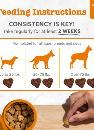 Zesty Paws Probiotic Bites + Probiotic Powder for Dogs