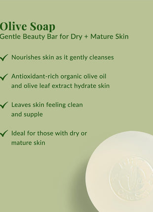 DHC Olive Soap, Gentle Facial Cleansing Bar, For Dry and Mature Skin, 3.1oz | Nourishing Cleansing Bar, Retains Moisturize, Fights Signs of Premature Aging, Ideal for Dry and Mature Skin