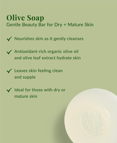 DHC Olive Soap, Gentle Facial Cleansing Bar, For Dry and Mature Skin, 3.1oz | Nourishing Cleansing Bar, Retains Moisturize, Fights Signs of Premature Aging, Ideal for Dry and Mature Skin