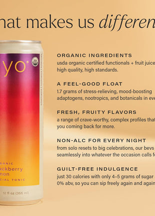 Hiyo Non-Alc Functional Seltzer, Adaptogens & Nootropics, 12 fl oz, 12pk | Classic Pack, Organic Social Tonic, Non-Alcoholic Beverage, Functional Drink, 30 Cals, Gluten Free, Vegan, Non-GMO